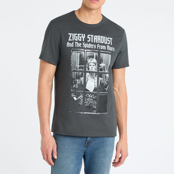 View the David Bowie Rise and Fall T-Shirt online at Amplified