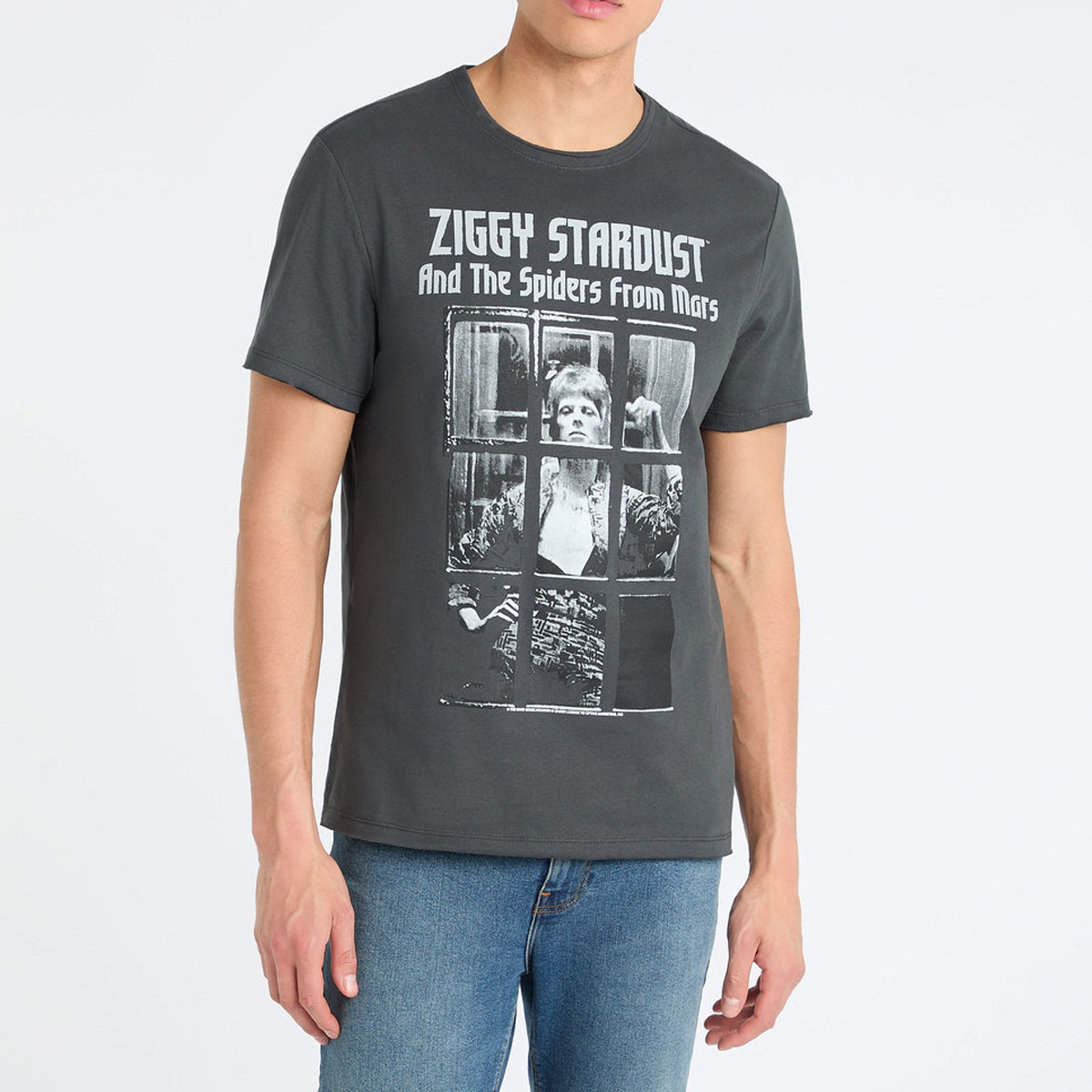 David Bowie Rise and Fall T-Shirt